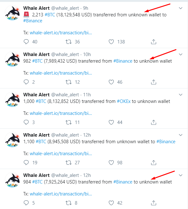 Whale Alert